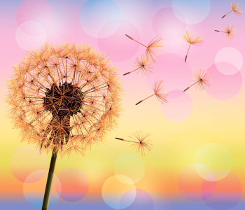 Цветы и растения - 95 | Wall-Style