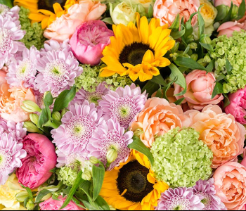 Цветы и растения - 20 | Wall-Style