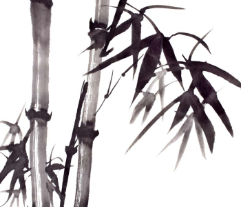 Цветы и растения - 24 | Wall-Style