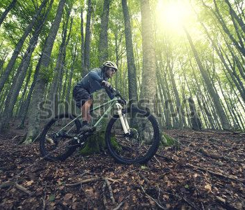 Спорт - 10 | Wall-Style