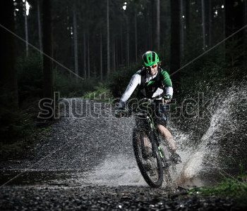 Спорт - 7 | Wall-Style