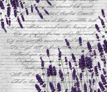 Цветы и растения - 22 | Wall-Style