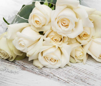 Цветы и растения - 17 | Wall-Style