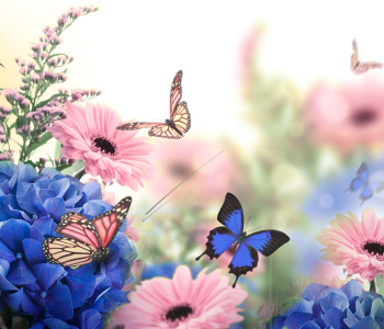 Цветы и растения - 7 | Wall-Style