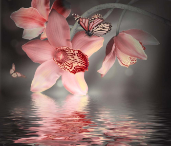 Цветы и растения - 128 | Wall-Style