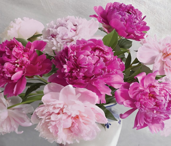 Цветы и растения - 32 | Wall-Style