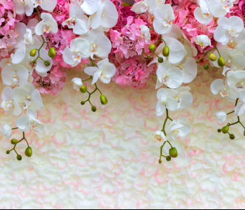 Цветы и растения - 23 | Wall-Style