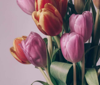 Цветы и растения - 24 | Wall-Style