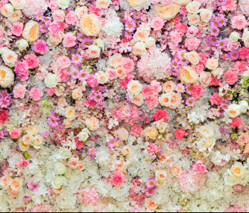 Цветы и растения - 76 | Wall-Style