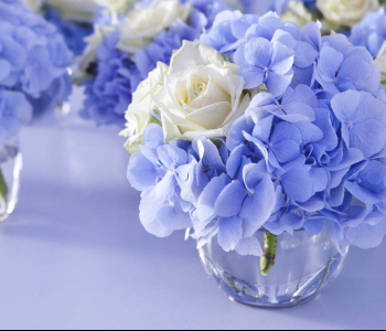 Цветы и растения - 16 | Wall-Style