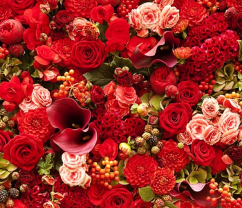 Цветы и растения - 106 | Wall-Style