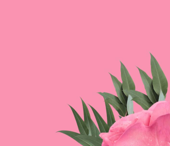 Цветы и растения - 27 | Wall-Style