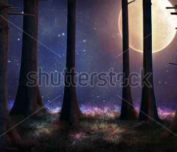 Фэнтези - 29 | Wall-Style