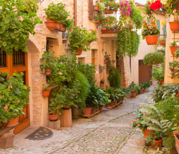 Старый город - 73 | Wall-Style