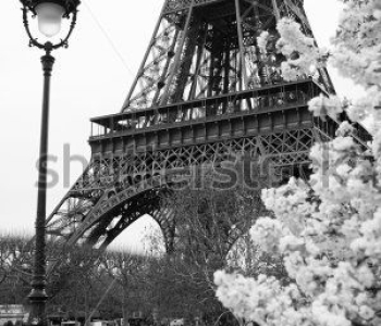 Архитектура - 67 | Wall-Style