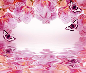 Цветы и растения - 166 | Wall-Style