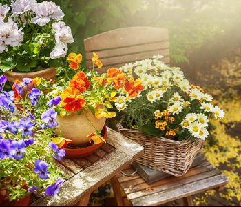 Цветы и растения - 40 | Wall-Style