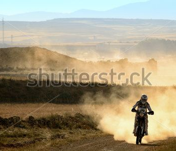 Спорт - 15 | Wall-Style