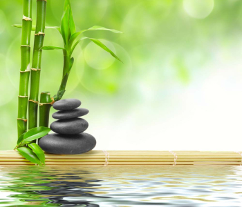 Цветы и растения - 19 | Wall-Style