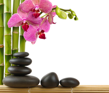 Цветы и растения - 18 | Wall-Style