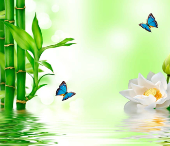 Цветы и растения - 22 | Wall-Style