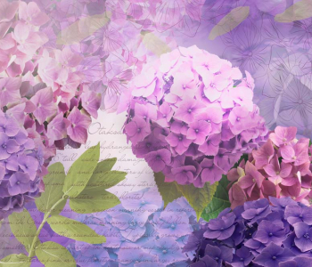 Цветы и растения - 28 | Wall-Style