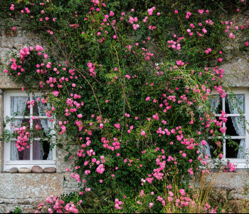 Старый город - 47 | Wall-Style