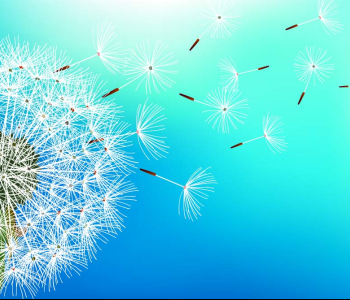 Цветы и растения - 9 | Wall-Style