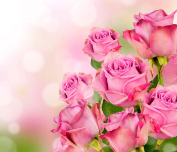 Цветы и растения - 196 | Wall-Style