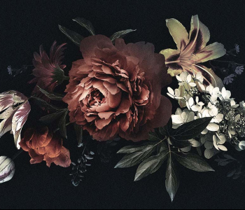 Цветы и растения - 7 | Wall-Style