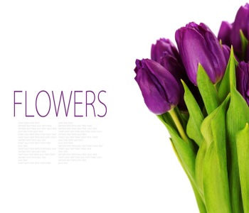 Цветы и растения - 38 | Wall-Style