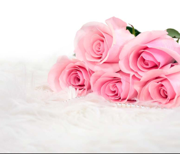 Цветы и растения - 18 | Wall-Style