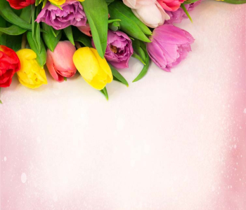 Цветы и растения - 9 | Wall-Style