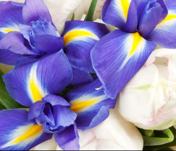 Цветы и растения - 54 | Wall-Style