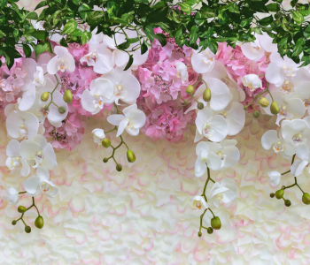 Цветы и растения - 19 | Wall-Style