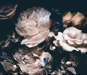 Цветы и растения - 10 | Wall-Style