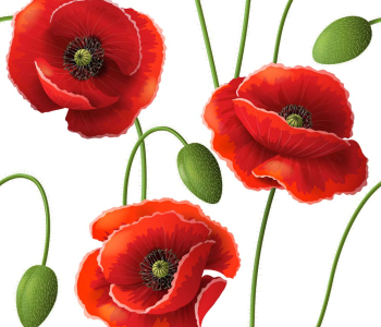 Цветы и растения - 21 | Wall-Style