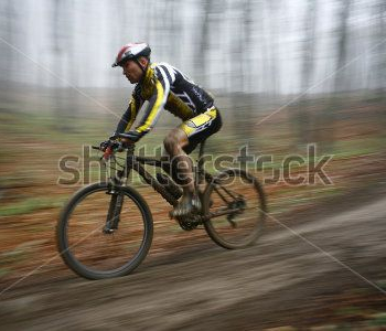 Спорт - 87 | Wall-Style