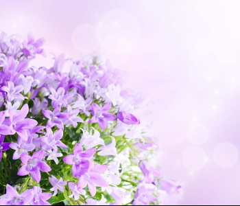 Цветы и растения - 30 | Wall-Style