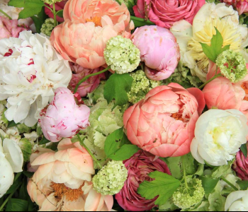 Цветы и растения - 13 | Wall-Style