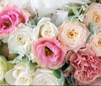 Цветы и растения - 13 | Wall-Style