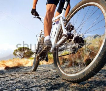 Спорт - 18 | Wall-Style