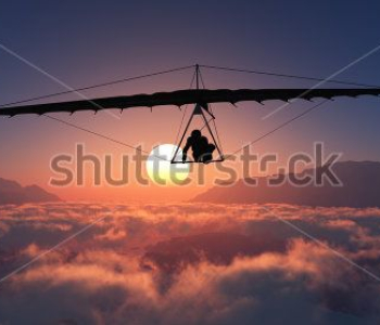 Спорт - 14 | Wall-Style