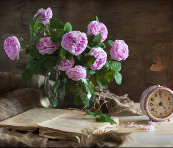 Цветы и растения - 8 | Wall-Style