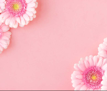 Цветы и растения - 1 | Wall-Style