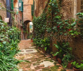 Старый город - 190 | Wall-Style