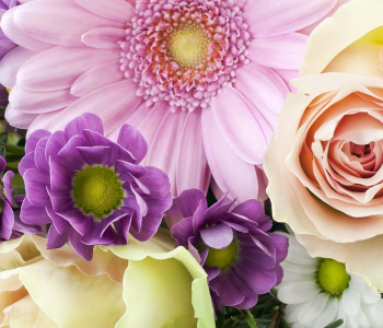 Цветы и растения - 110 | Wall-Style