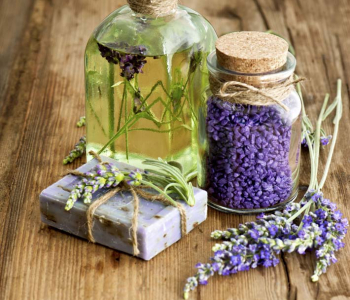 Цветы и растения - 23 | Wall-Style