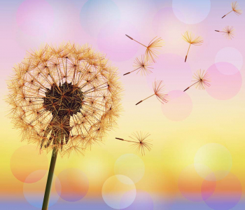 Цветы и растения - 12 | Wall-Style