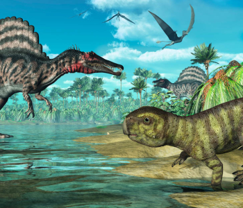 Детские - 154 | Wall-Style